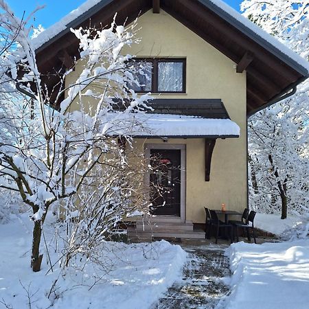 Holiday Home Lemut Kranj Ngoại thất bức ảnh